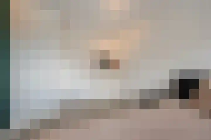 Westerschelde 11 Zoetermeer thumbnail 22