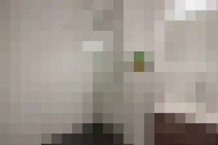 Westerschelde 11 Zoetermeer thumbnail 25