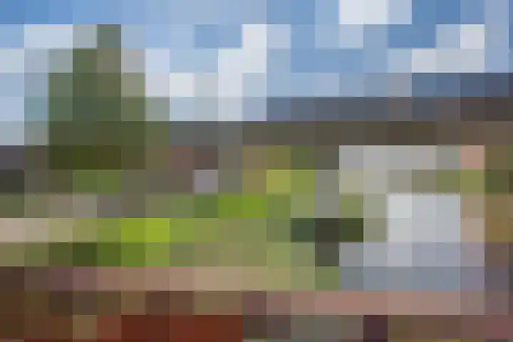 Westerschelde 11 Zoetermeer thumbnail 34