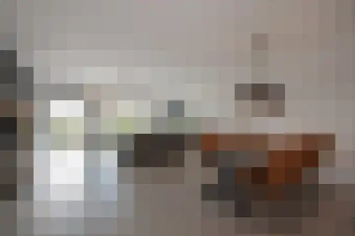 Westerschelde 11 Zoetermeer thumbnail 7
