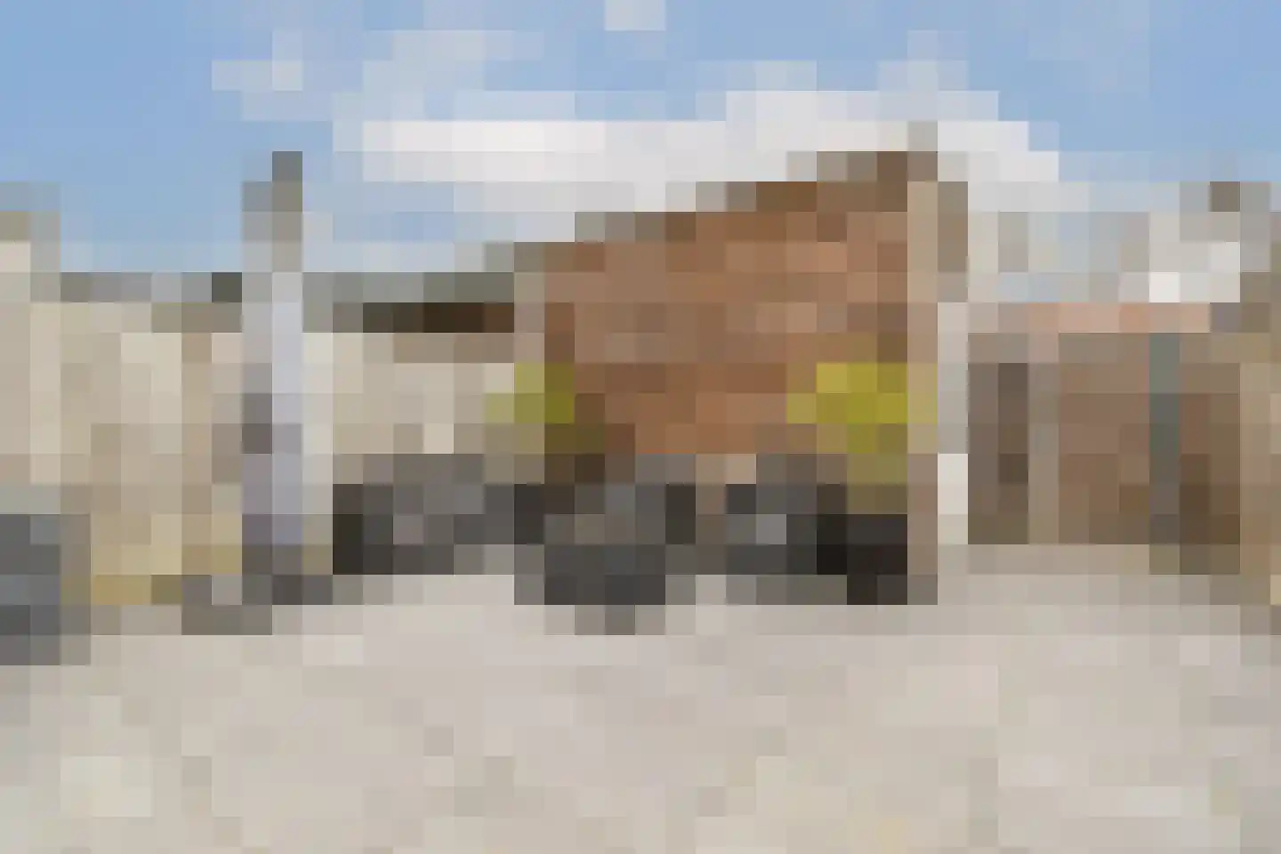 Westerschelde 17 Hoofddorp thumbnail 10