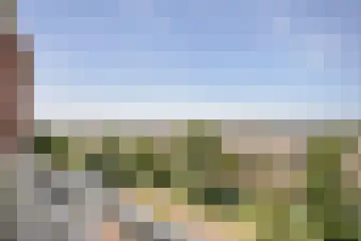 Westerschelde 39 Zoetermeer thumbnail 10