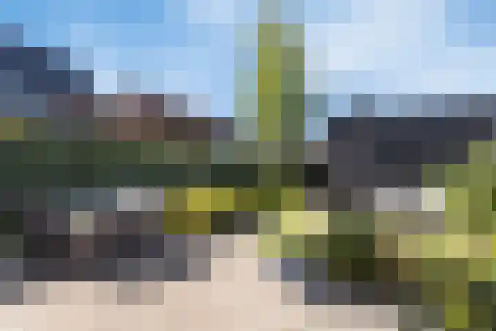 Westerschelde 52 Hoofddorp thumbnail 30