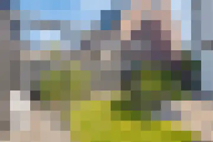 Westerschelde 52 Hoofddorp thumbnail 32