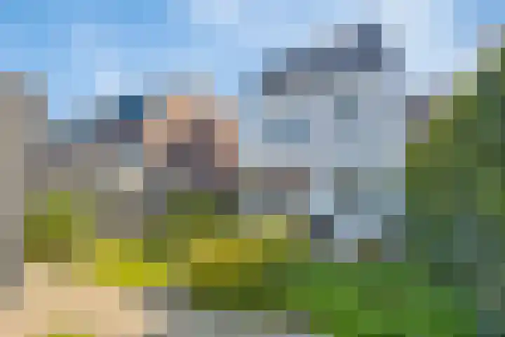 Westerschelde 52 Hoofddorp thumbnail 6