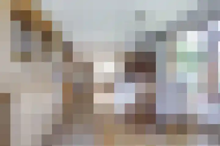 Westerscheldelaan 1 Koudekerke thumbnail 11