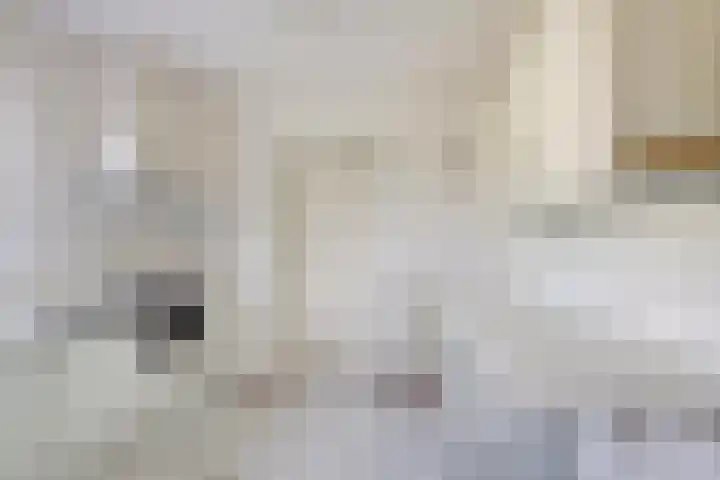 Westerscheldelaan 1 Koudekerke thumbnail 14