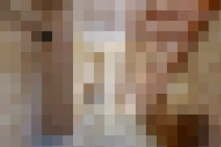 Westerscheldelaan 1 Koudekerke thumbnail 18