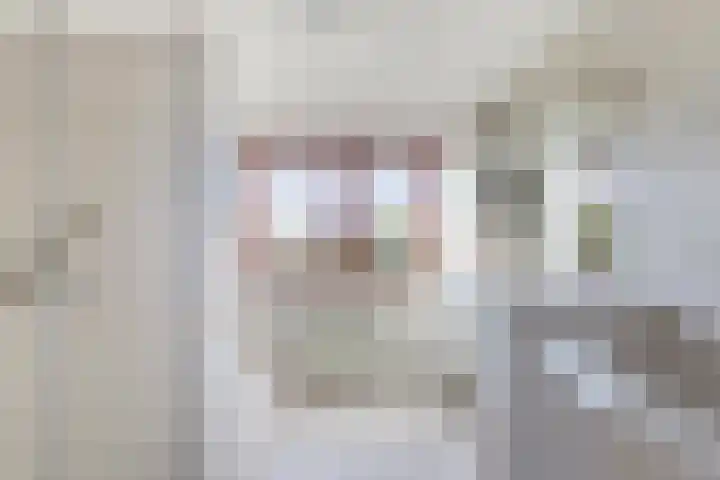 Westerscheldelaan 1 Koudekerke thumbnail 23