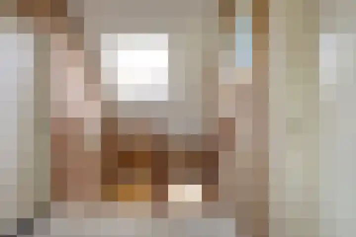 Westerscheldelaan 1 Koudekerke thumbnail 25