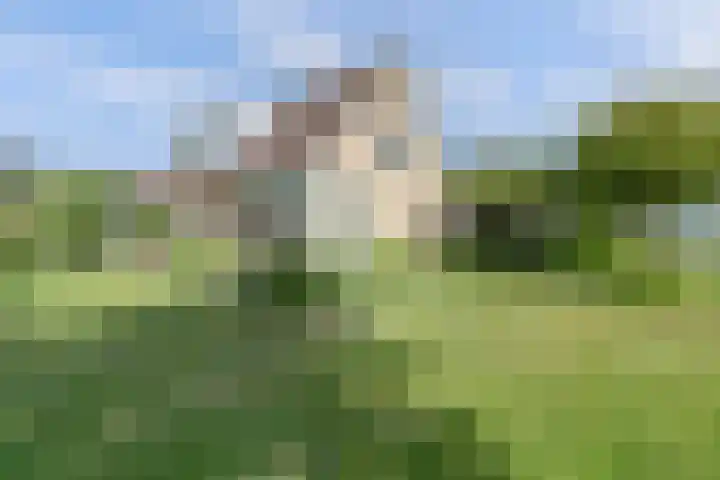 Westerscheldelaan 1 Koudekerke thumbnail 26