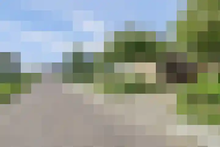 Westerscheldelaan 1 Koudekerke thumbnail 29