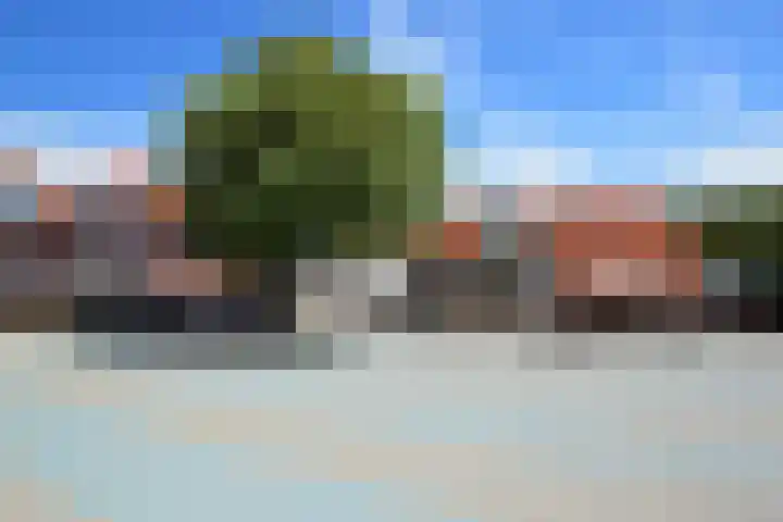 Westerscheldelaan 1 Koudekerke thumbnail 35