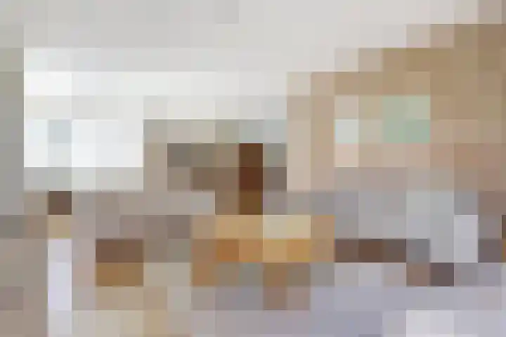 Westerscheldelaan 1 Koudekerke thumbnail 7