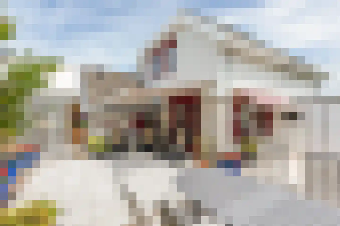 Westerscheldelaan 11 Koudekerke thumbnail 44