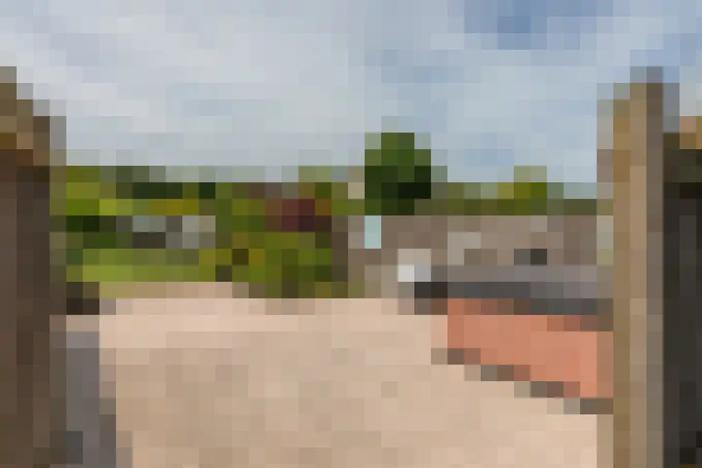Westerscheldelaan 11 R Koudekerke thumbnail 31