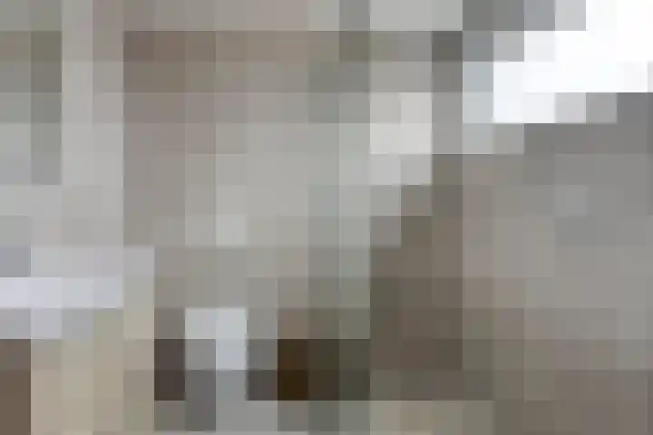 Westerscheldestraat 7 Oost-Souburg thumbnail 4