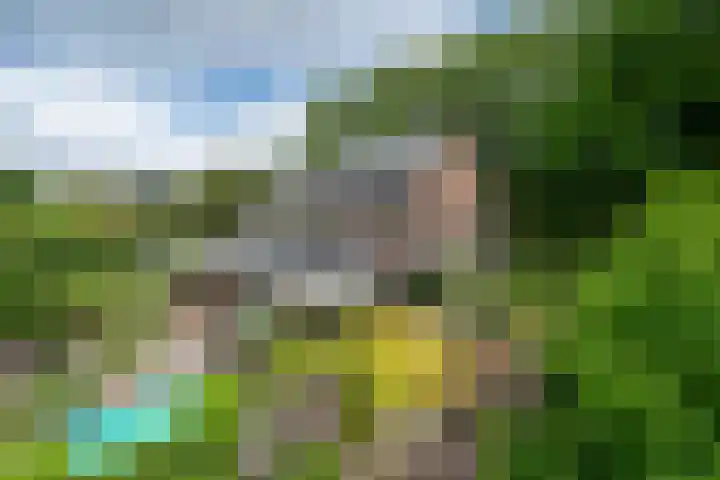 Westerse Drift 119 Haren Gn thumbnail 42