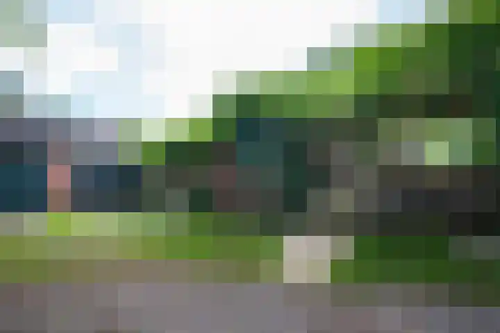 Westerse Drift 119 Haren Gn thumbnail 48