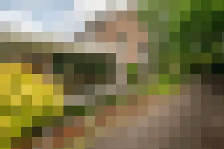 Westerse Drift 119 Haren Gn thumbnail 51