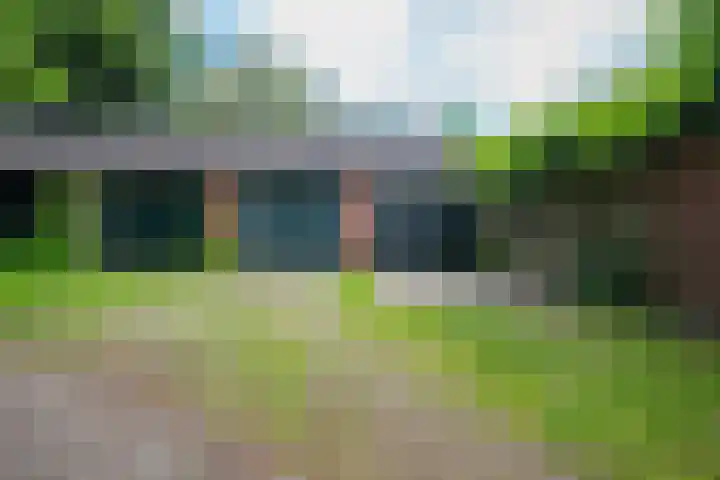 Westerse Drift 119 Haren Gn thumbnail 54