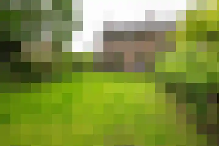Westerse Drift 119 Haren Gn thumbnail 6