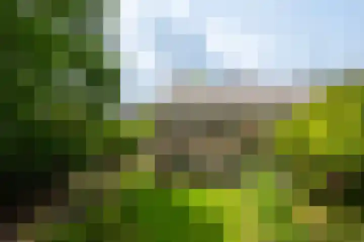 Westerse Drift 119 Haren Gn thumbnail 60
