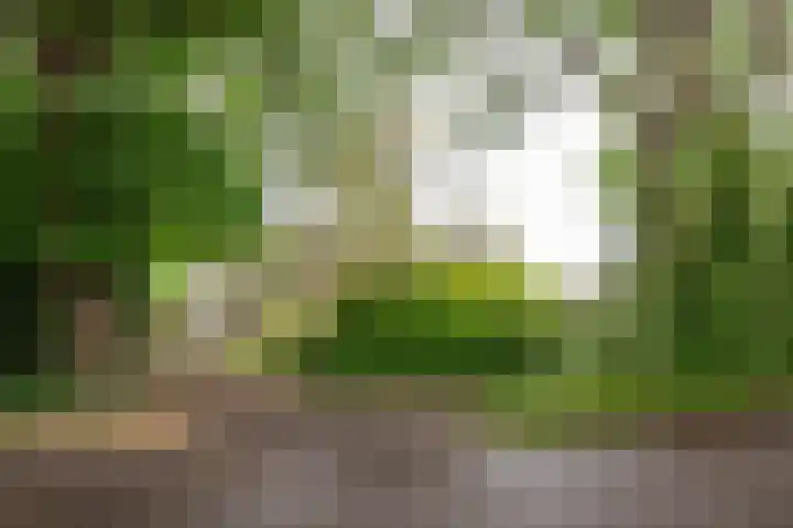 Westerse Drift 119 Haren Gn thumbnail 8