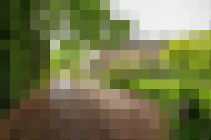 Westerse Drift 119 Haren Gn thumbnail 9