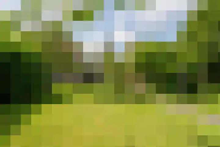 Westerse Drift 16 Haren Gn thumbnail 69