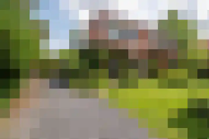 Westerse Drift 16 Haren Gn thumbnail 76