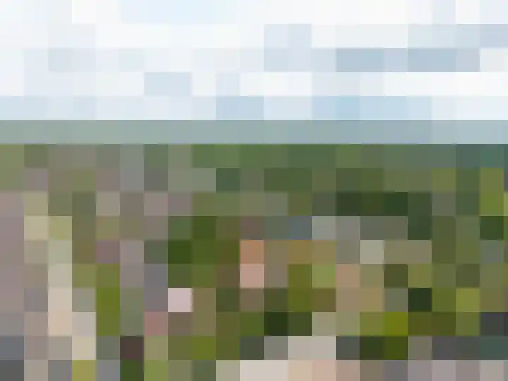 Westerse Drift 16 Haren Gn thumbnail 81