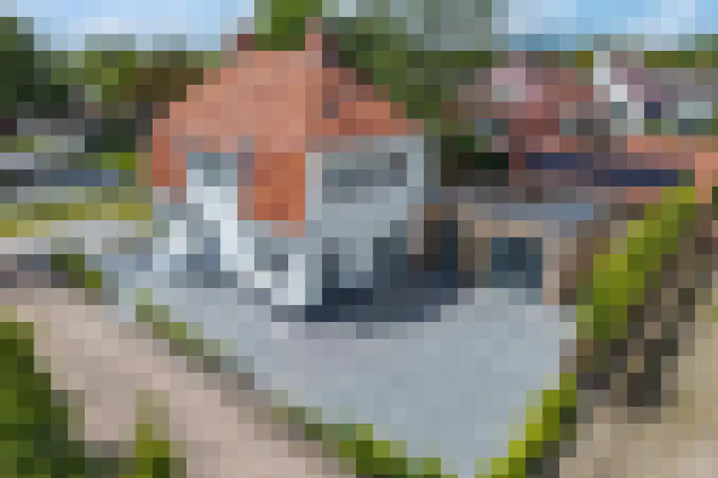 Westerse Drift 20 Haren Gn thumbnail 50