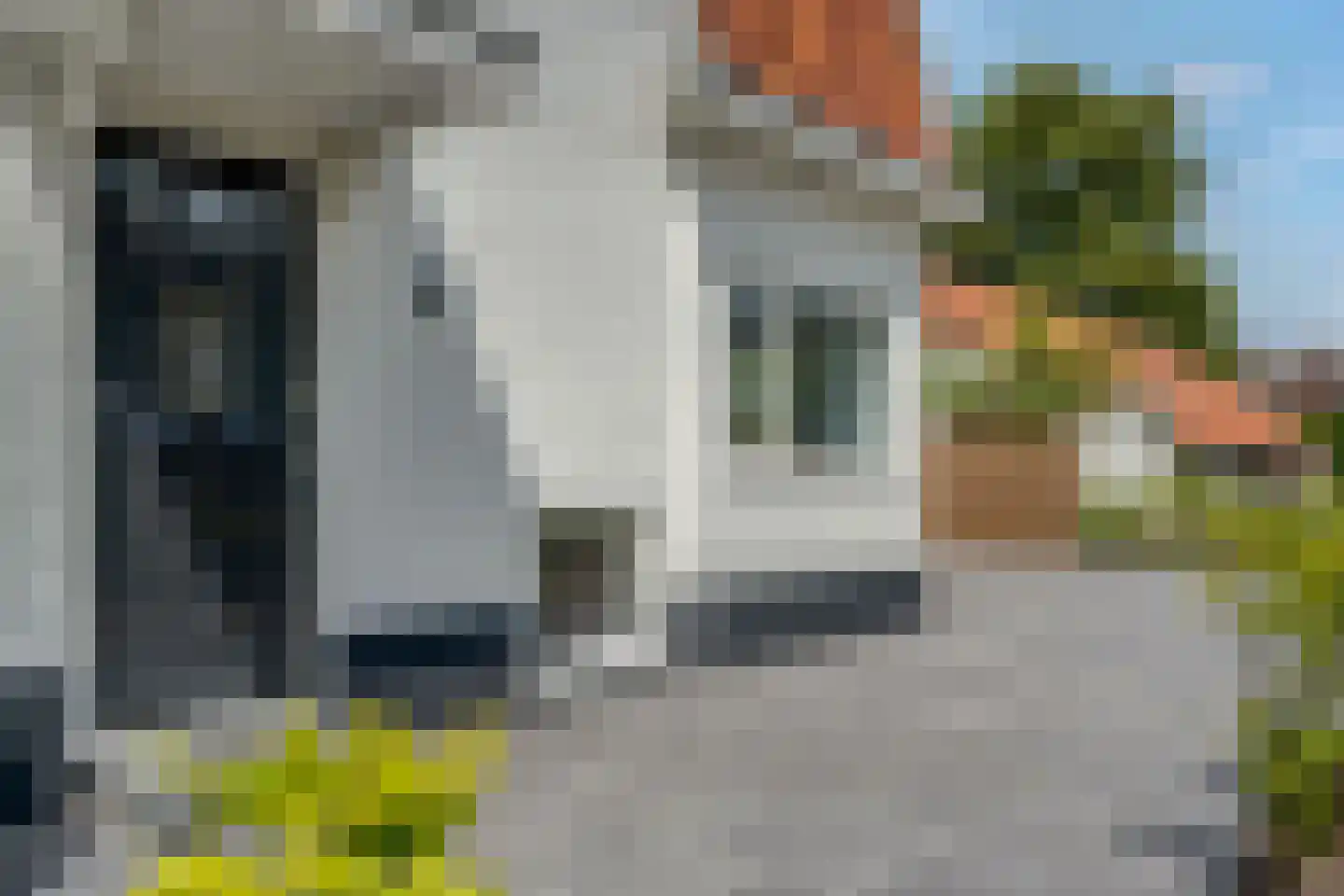 Westerse Drift 20 Haren Gn thumbnail 8