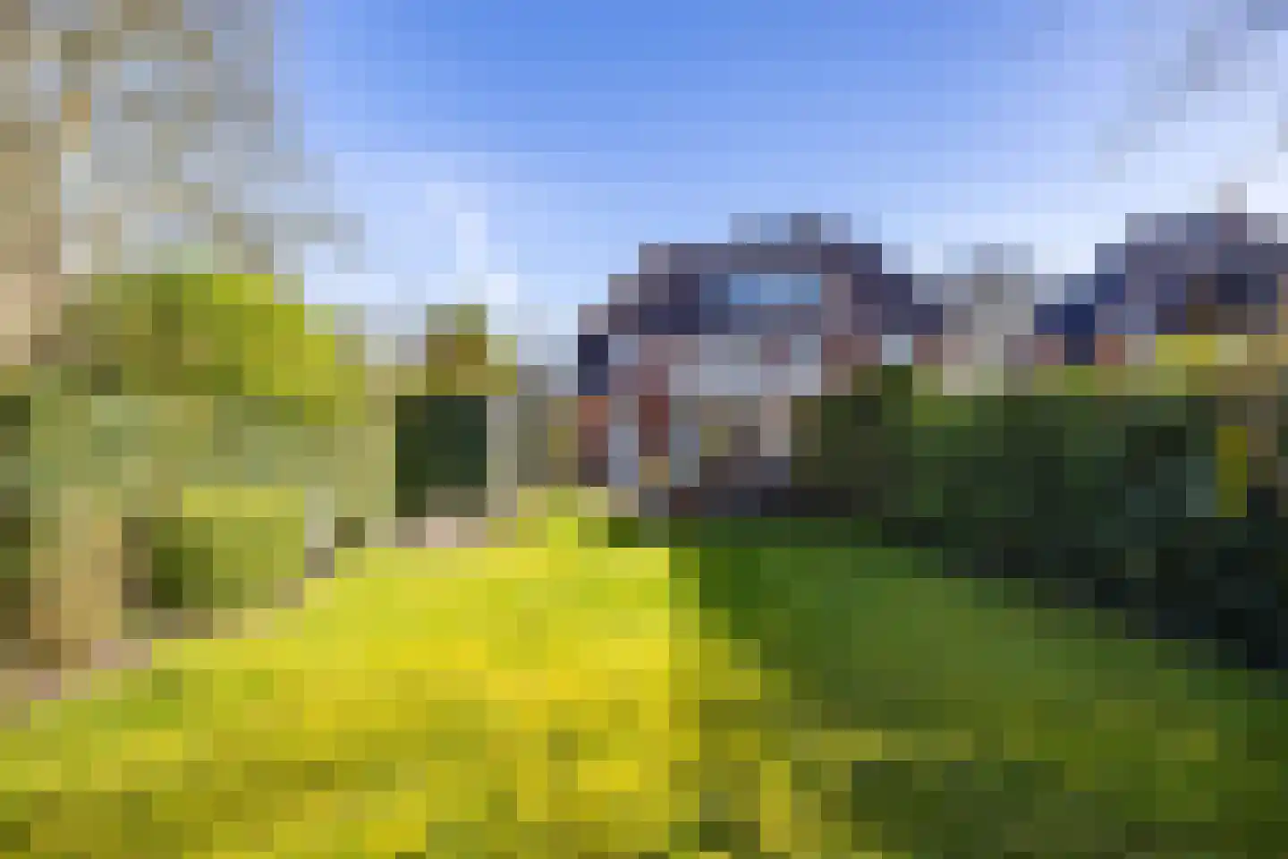 Westerse Drift 27 Haren Gn thumbnail 24