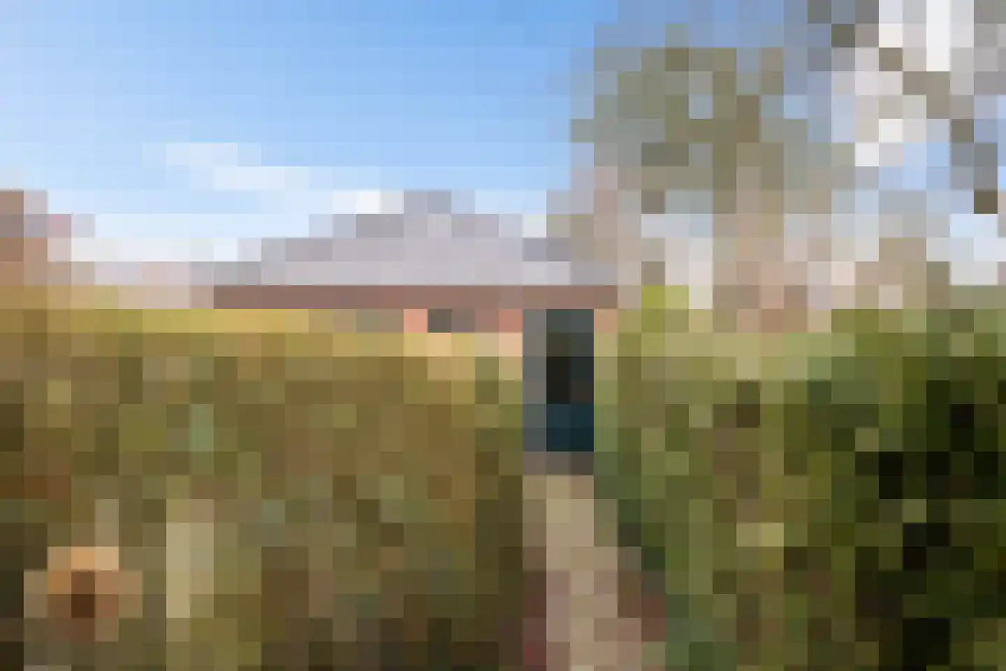 Westerse Drift 40 Haren Gn thumbnail 8