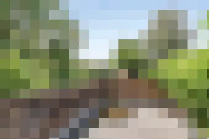 Westerse Drift 89 Haren Gn thumbnail 34