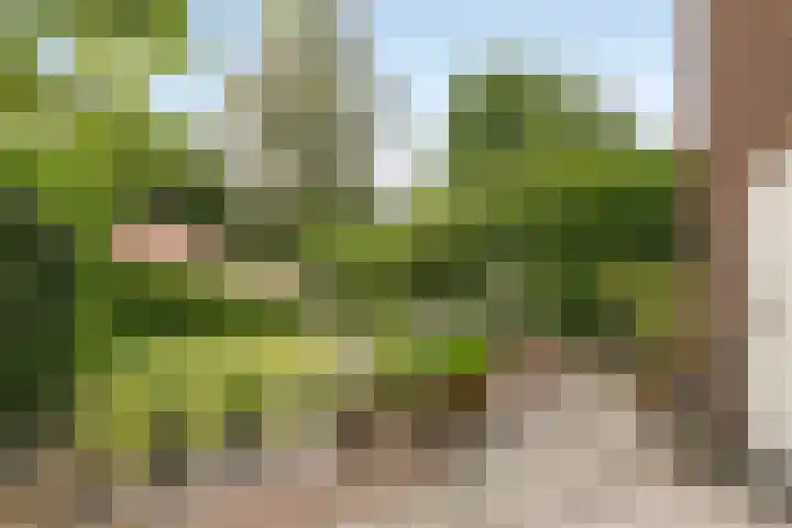 Westerse Drift 89 Haren Gn thumbnail 45