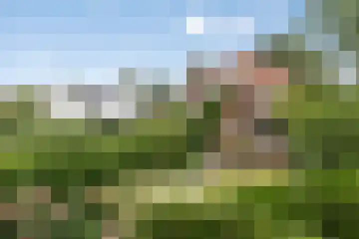 Westerse Drift 89 Haren Gn thumbnail 55