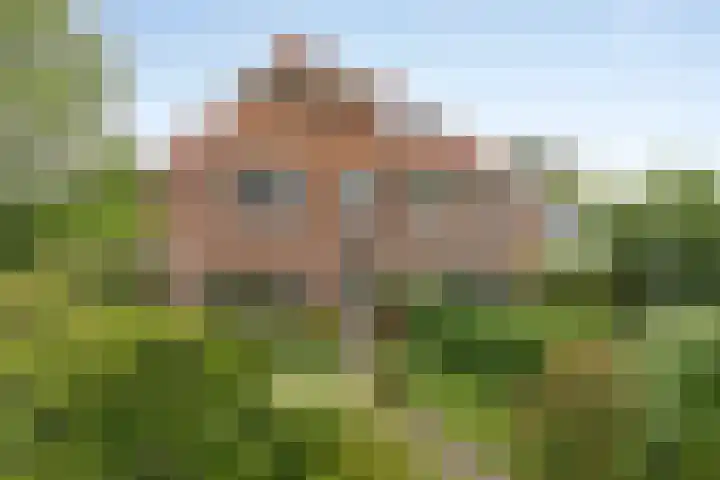 Westerse Drift 89 Haren Gn thumbnail 8