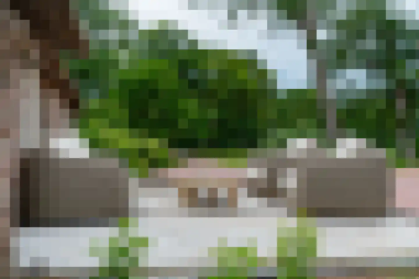 Westersebos 22 Schoonebeek thumbnail 12