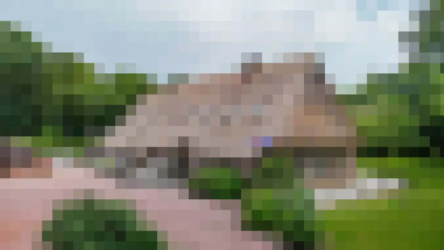 Westersebos 22 Schoonebeek thumbnail 6