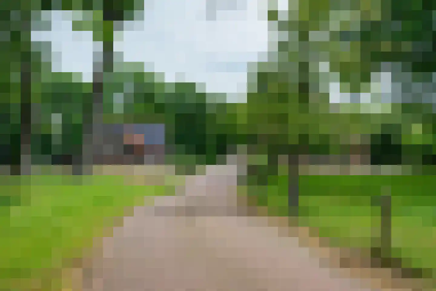 Westersebos 22 Schoonebeek thumbnail 7