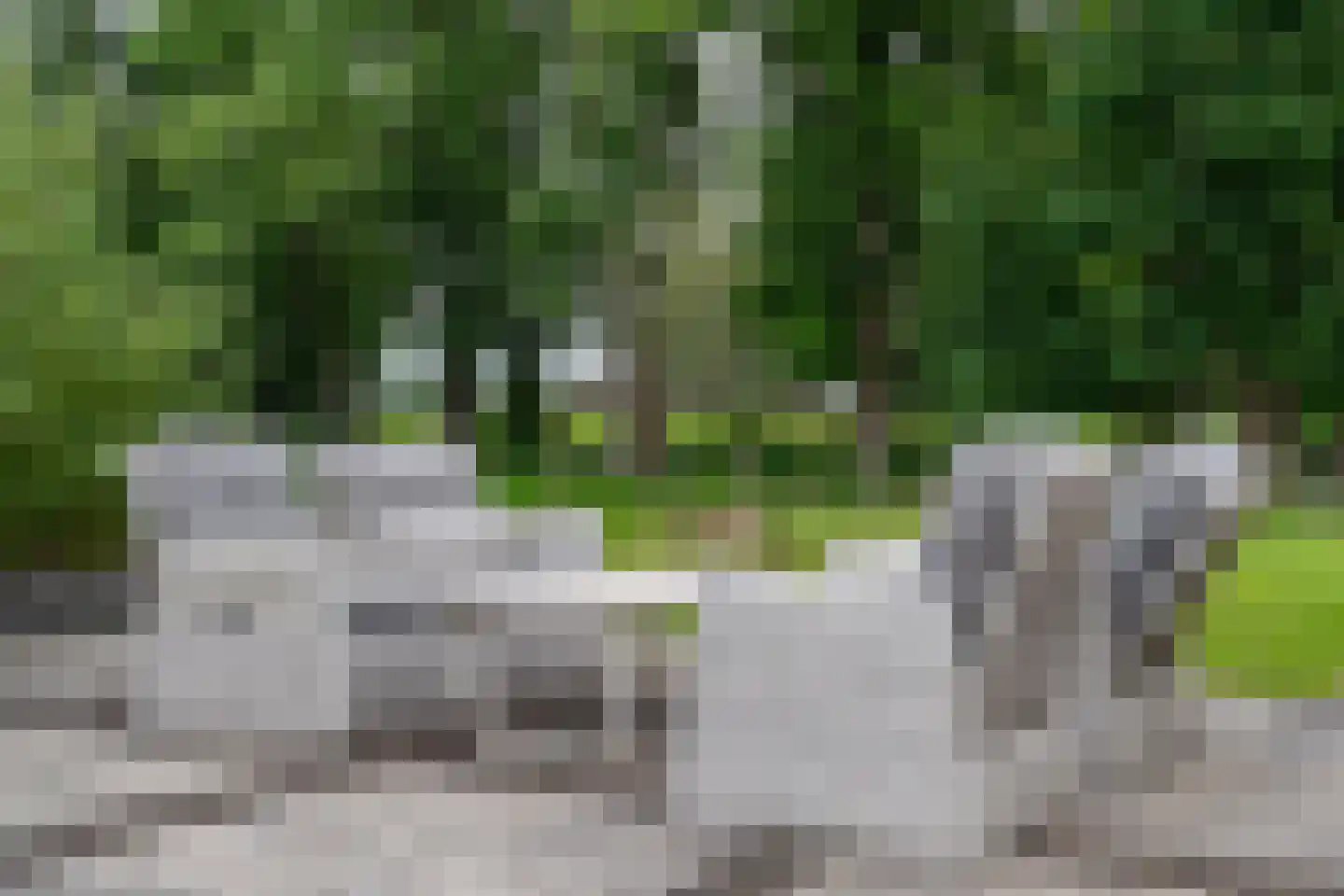 Westersebos 22 Schoonebeek thumbnail 77