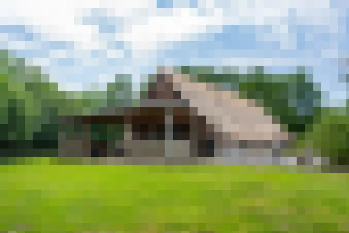 Westersebos 22 Schoonebeek thumbnail 79