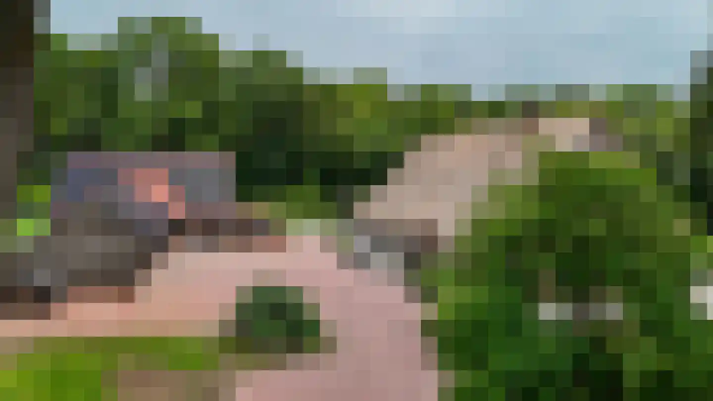 Westersebos 22 Schoonebeek thumbnail 8