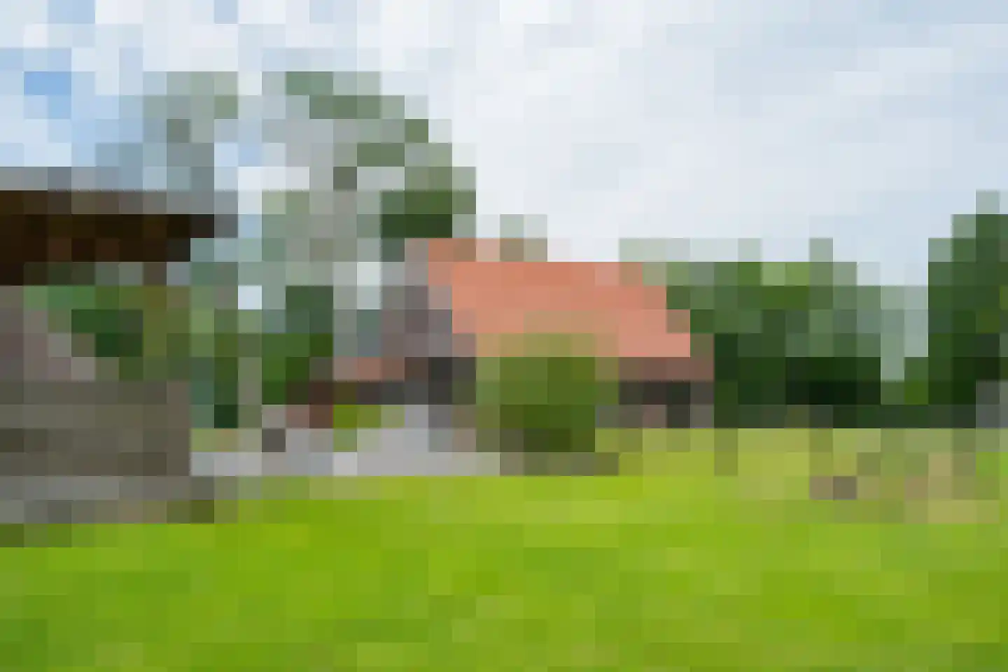 Westersebos 22 Schoonebeek thumbnail 80