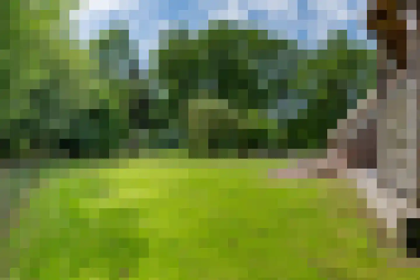 Westersebos 22 Schoonebeek thumbnail 81