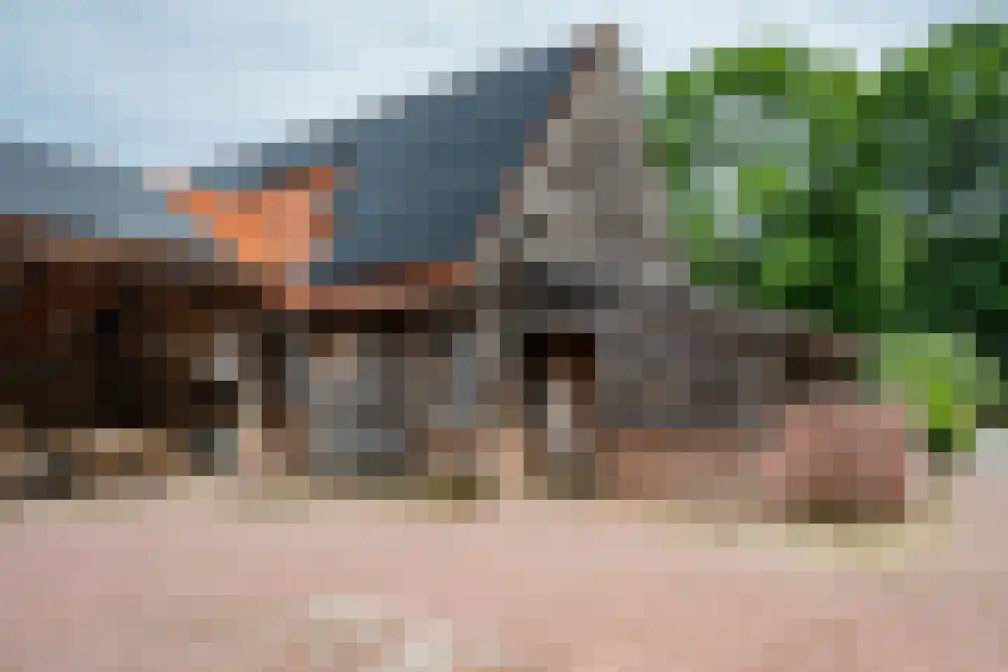 Westersebos 22 Schoonebeek thumbnail 85