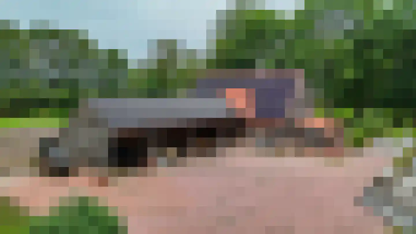 Westersebos 22 Schoonebeek thumbnail 9